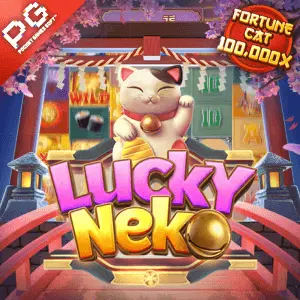 Kuku43